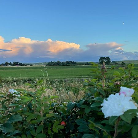 Aengahuset Villa Glemminge Bagian luar foto