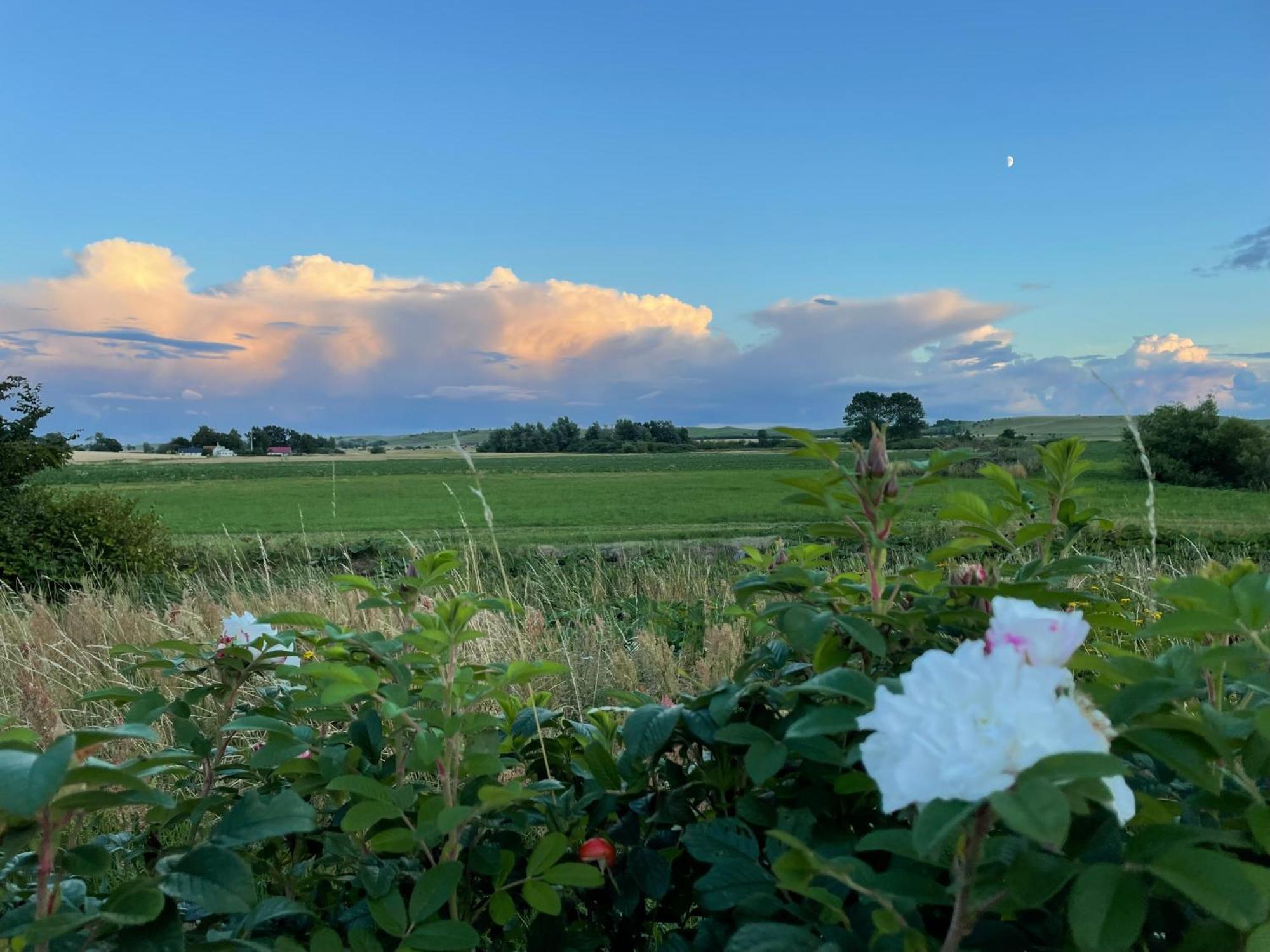 Aengahuset Villa Glemminge Bagian luar foto